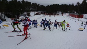20160313_150044 - koopia